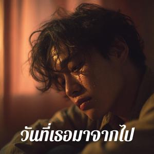 วันที่เธอมาจากไป