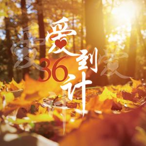 爱到三十六计