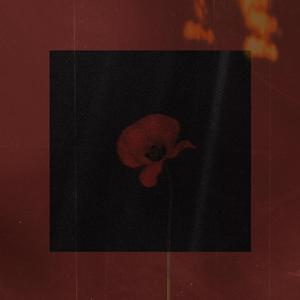 Espirales, labios, repeticiones