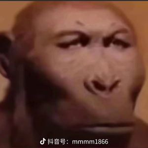 《流星抵押》