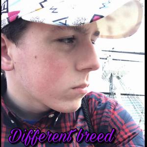 Diffrent Breed