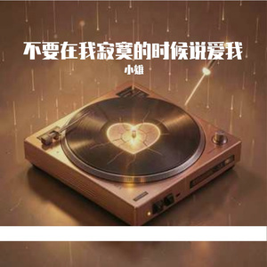 不要在我寂寞的时候说爱我