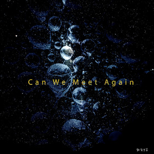 Can We Meet Again