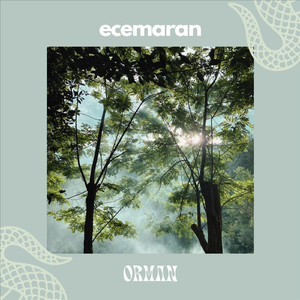 Orman