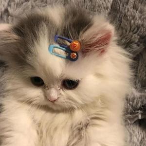 なんでもないや