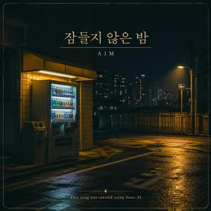 잠들지 않은 밤