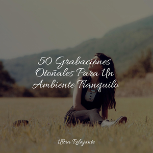 Gotas De Rocío En La Ventana