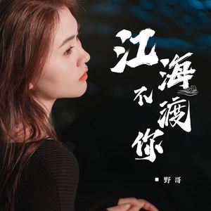 江海不渡你 (DJBanan版)