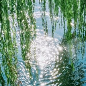 离开的夏天