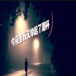 今夜里我又举起了酒杯