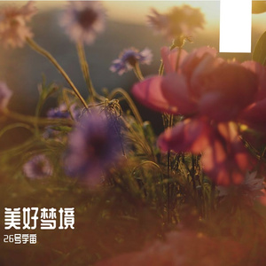 美好梦境