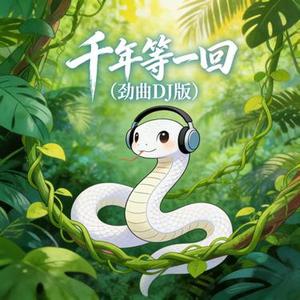 千年等一回（劲曲DJ版）