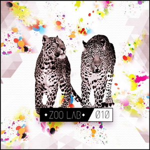 Dynamic Zoo (Original Mix)