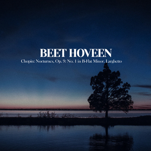 Nocturnes, Op. 9: No. 1 in B-Flat Minor. Larghetto