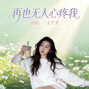 再也无人心疼我