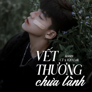 Vết Thương Chưa Lành (Lofi)