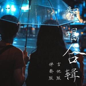 宝贝宝贝（吉他版）（翻自 李昕融/樊桐舟/李凯稠）