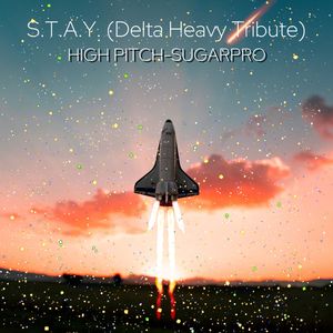 S.T.A.Y. （SugarPro Remix）