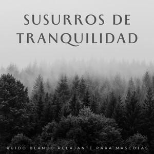 Eco Del Amanecer Gentil