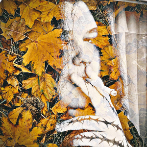 Запрещённая аудиозапись