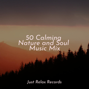 Sanctuary's Solitude