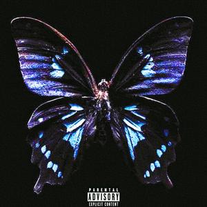 Butterfly19
