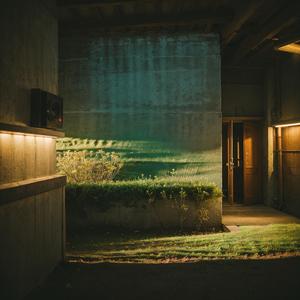 咏邻女东窗海石榴