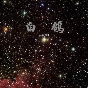 白鸽（翻自 你的上好佳）