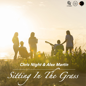 Sitting in the Grass (Radio Edit)