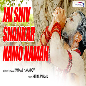 Jai Shiv Shankar Namo Namah