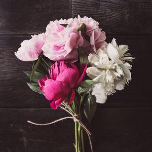 花的印记（原创钢琴曲）