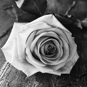 【Scorpio】＂R＂ Diss Track Type Beat