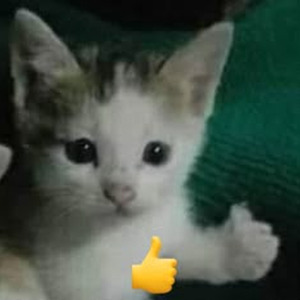 Lose Control (sped up)