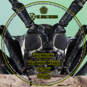 Toruk (Original Mix)