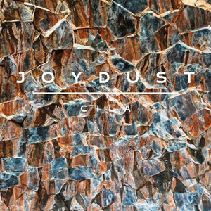 Joydust