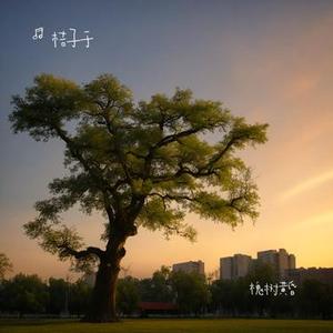 选择原谅 (Cover 何洁)