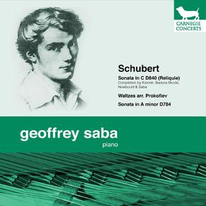 Sonata in C Major "Reliquie", D840: 2. Andante