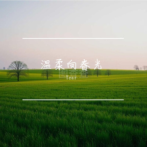 温柔向春光