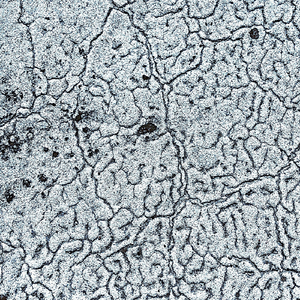 The Red-White Rocket Covered by Plants, Sand and Water