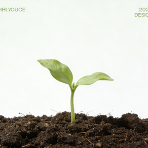 半载柔情半载泪