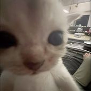 Full Circle (slowed)