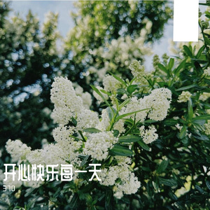 清晨的闹钟