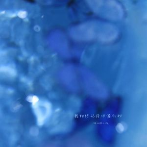 他们说月亮代表思念