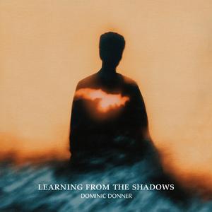 learning from the shadows