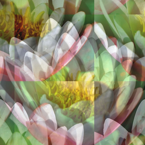 Intercalarily