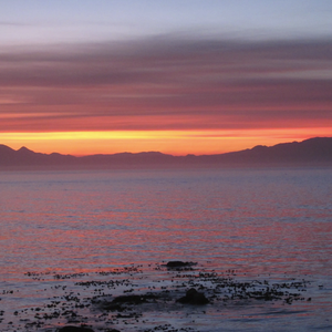 小祥子音乐分享汇 (7)