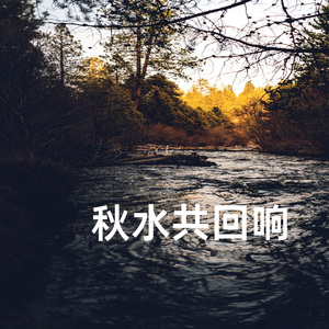 秋水共回响