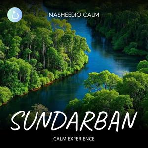Sundarban (Calm Experience)