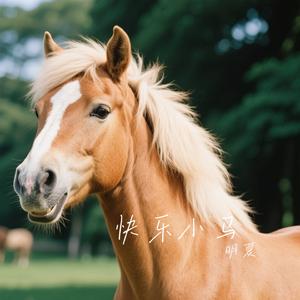 快乐小马