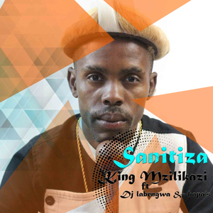 Sanitiza (feat. DJ La Bengwa & Hapas)